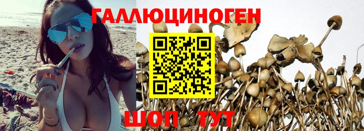 Галлюциногенные грибы мицелий Ликино-Дулёво